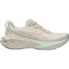 Asics NovaBlast 4 1012B510 250