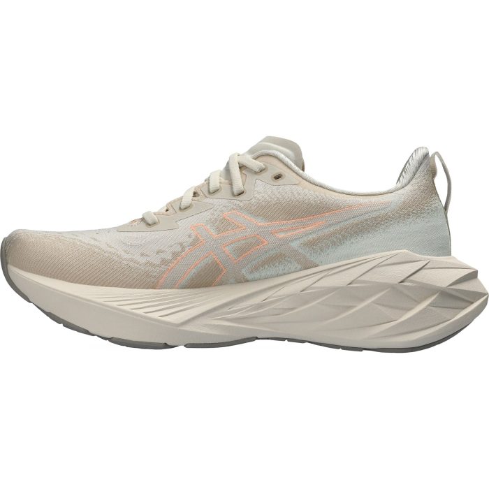 Asics NovaBlast 4 1012B510 250 Inside