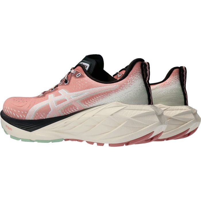 Asics NovaBlast 4 TR 1012B654 250 Back