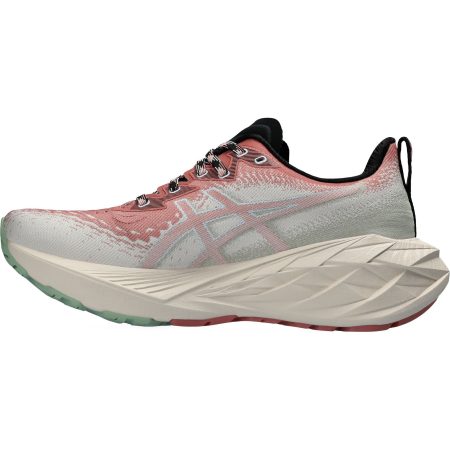 Asics NovaBlast 4 TR 1012B654 250 Inside