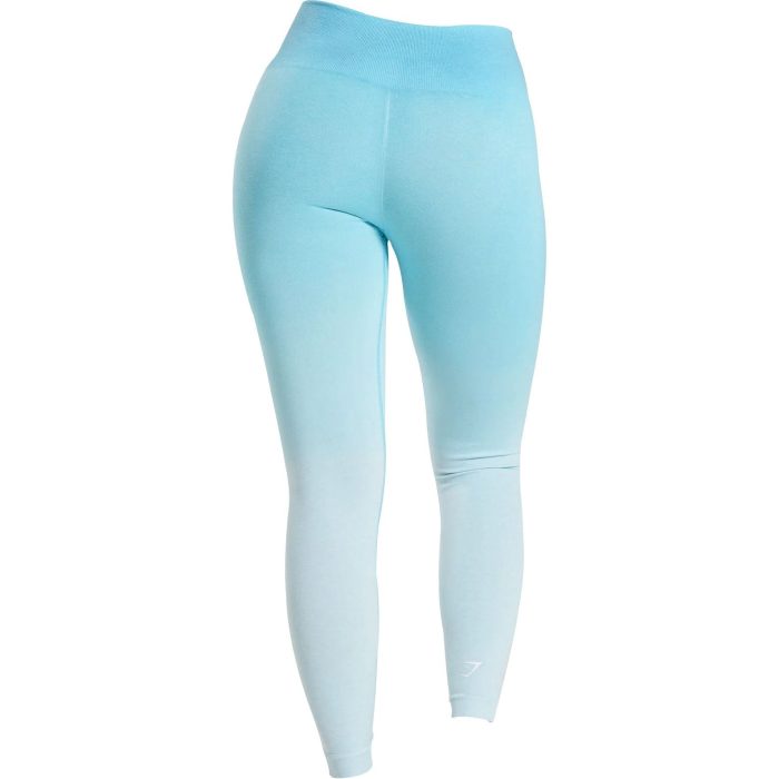 Gymshark Adapt Ombre Long Tights GLLG4120 MBM MB Back