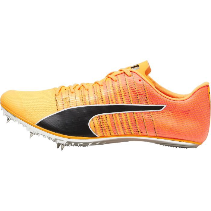 Puma evoSpeed Brush 6 380022 01