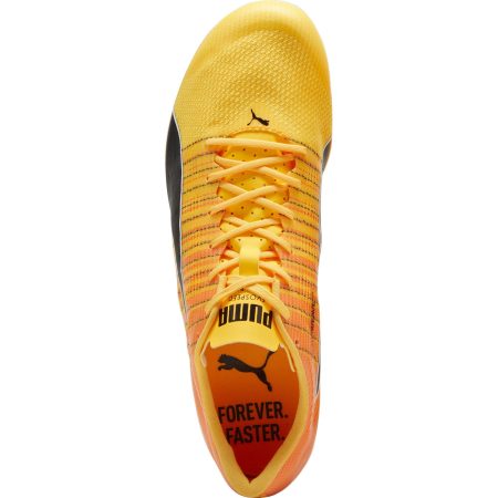 Puma evoSpeed Brush 6 380022 01 Top