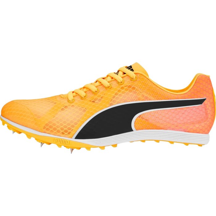 Puma evoSpeed Crossfox 4 377008 01