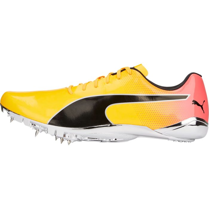 Puma evoSpeed Electric 13 377000 01