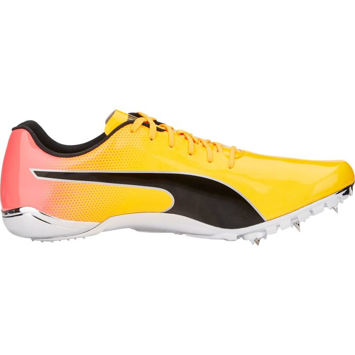 Puma evoSpeed Electric 13 377000 01 Inside