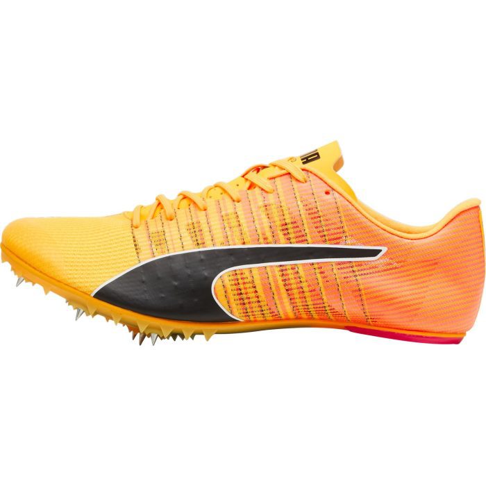 Puma evoSpeed Future 6 380023 01