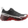 Salomon Cross Hike 2 GTX L41730200