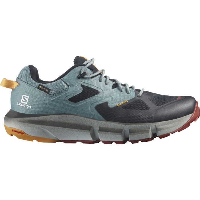 Salomon Predict Hike GTX L41599600