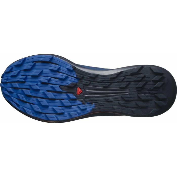 Salomon Pulsar Pro Trail L41593400 Sole